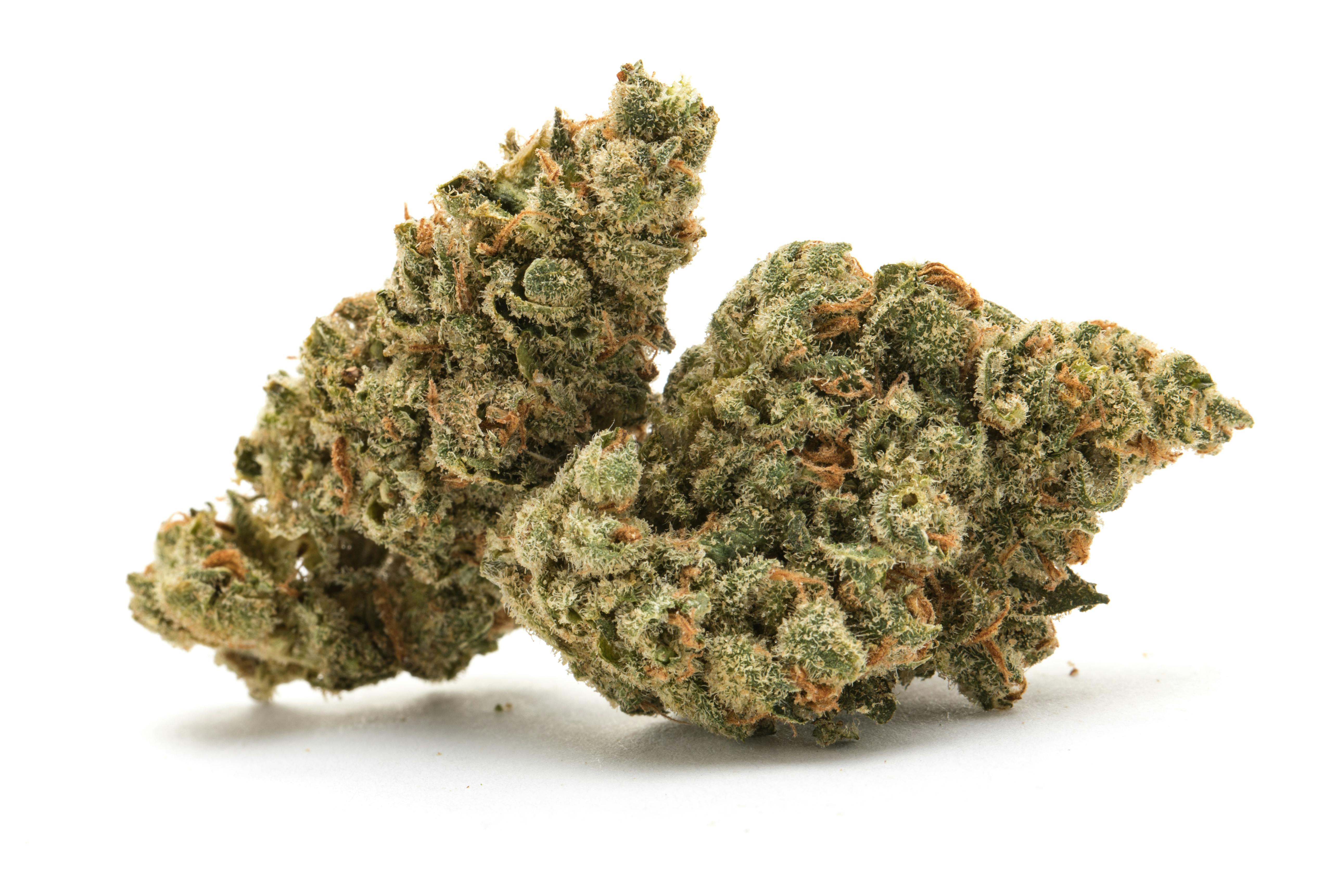 Chocolate Haze