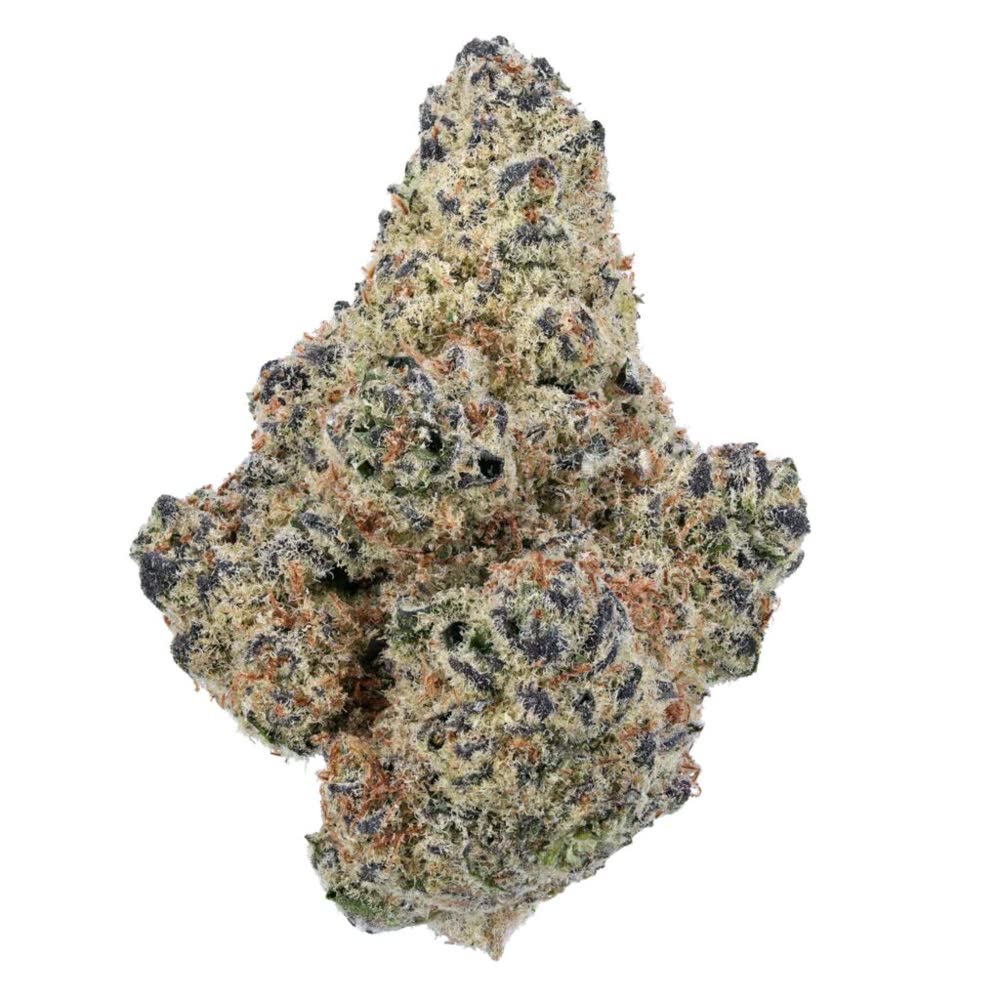 Northern Lights
