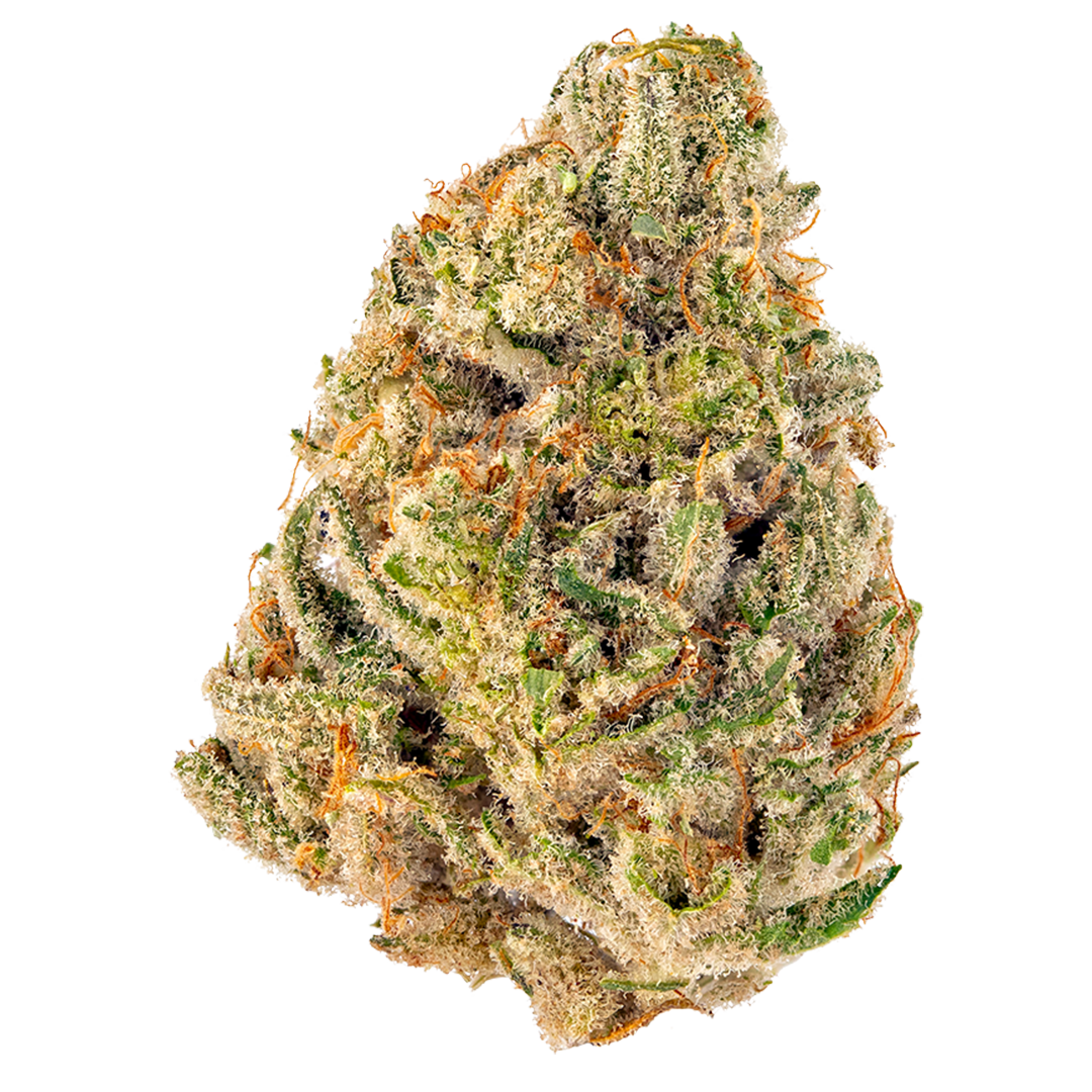 Golden Cheese