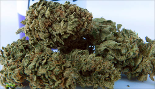 Regular Outdoor