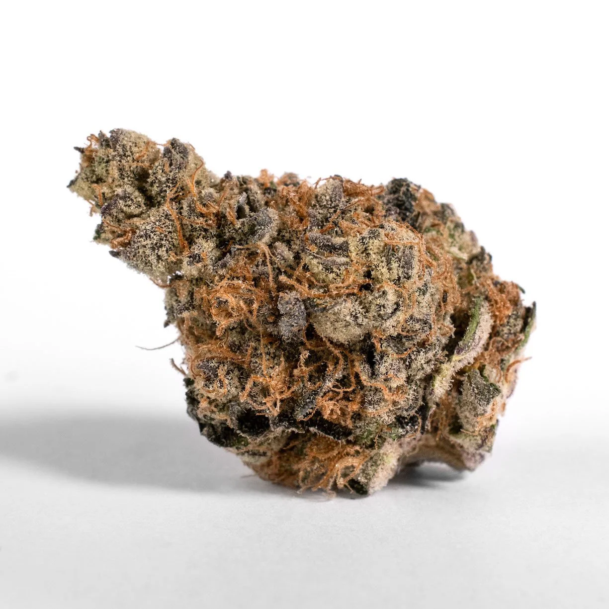 Slurricane
